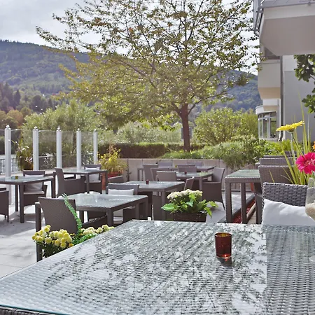 Hotel Neckarlux-2