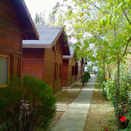 Camping Alpujarras-3