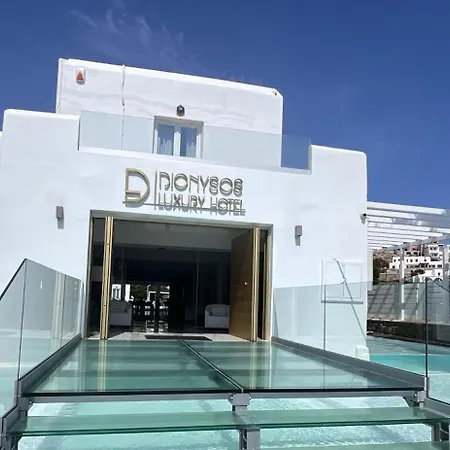 Dionysos Luxury Hotel Mykonos-3
