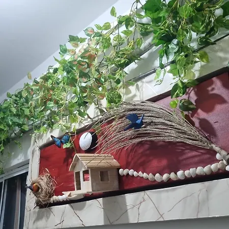 Pousada Da Didi-3