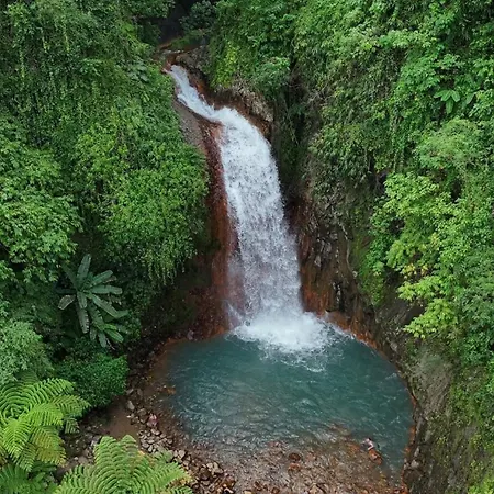 Pulangbato Falls Mountain Resort-3