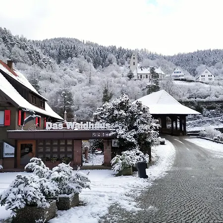 Das Waldhaus-2