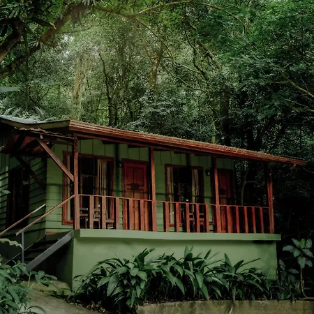 Jaguarundi Lodge - Monteverde-2