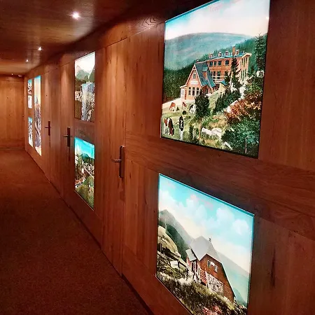 Resident Resort Harrachov & Grotta Spa-3