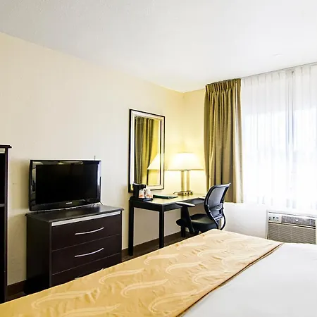 Quality Inn & Suites Denver Stapleton-3
