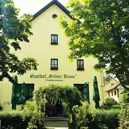 Hotel-Landgasthof Grüner Baum - Dittigheim-2