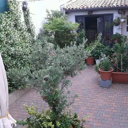 B&B Renè-2
