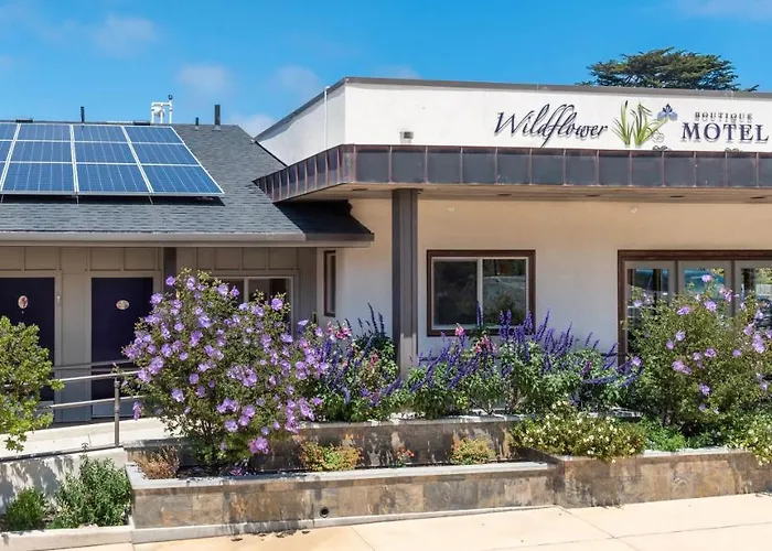 Wildflower Boutique Motel
