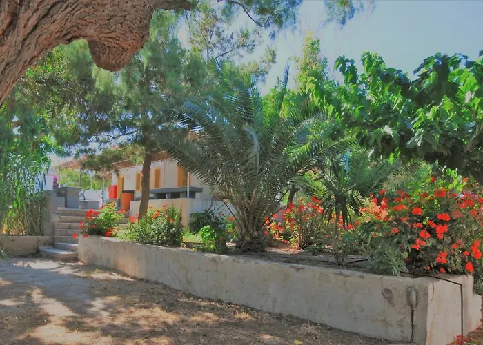 Santorini Camping & Hostel