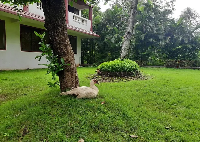 Seawoods Beach Hotel