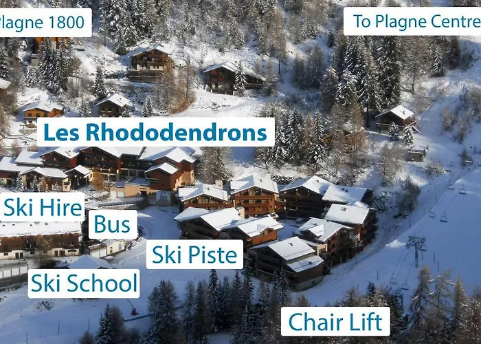 Les Rhododendrons