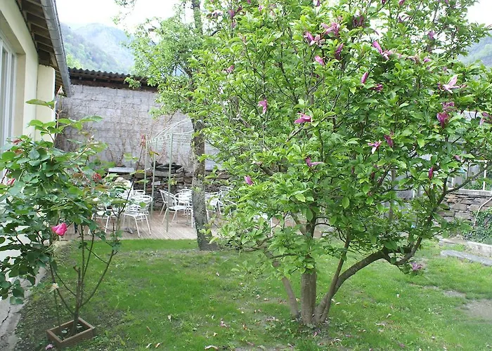 Hotel Celeste