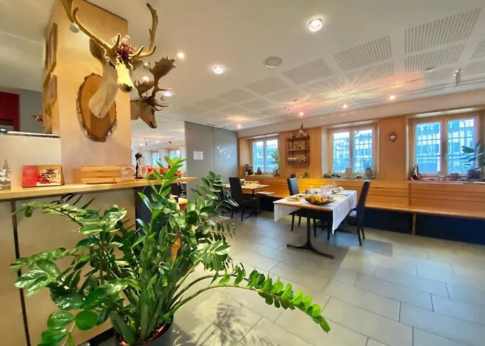 Hotel Hirschen Hinwil
