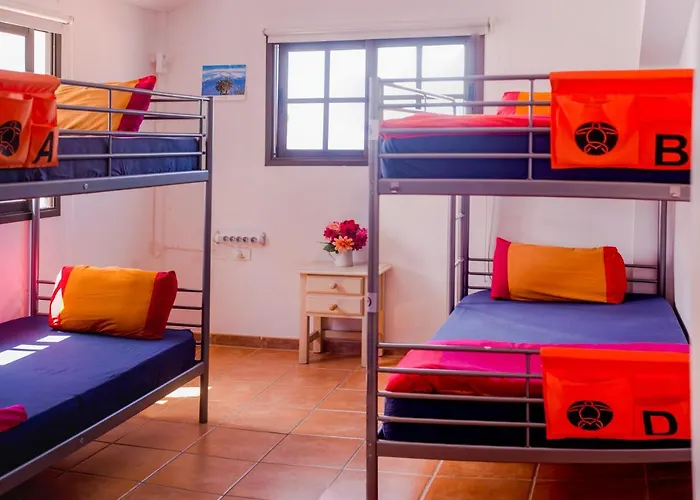 La Tortuga Hostel