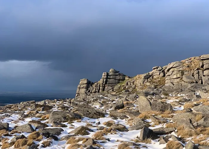 The Tors