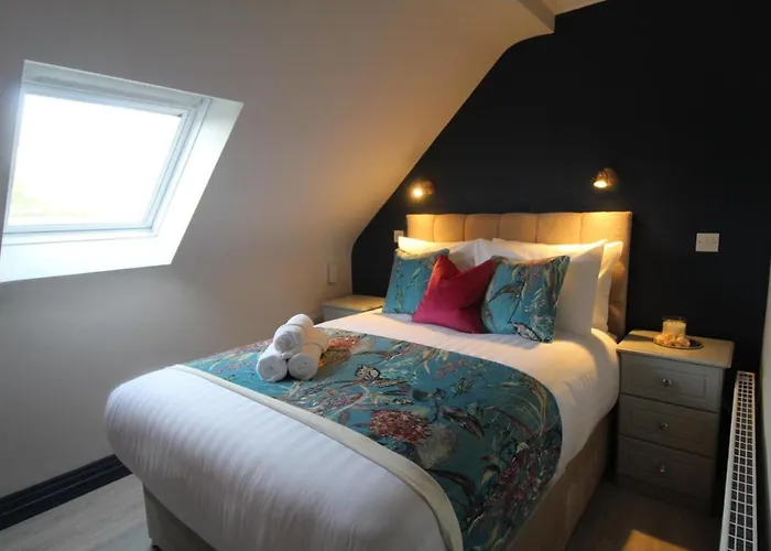 The Dutch Tulip Hostel