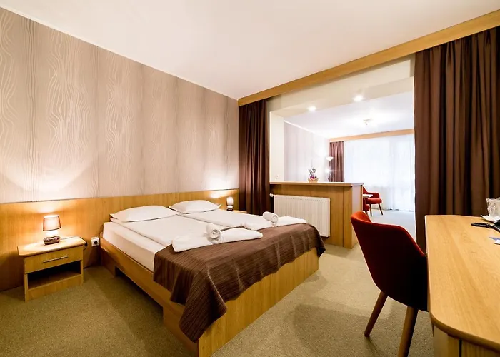 Hotel Muresul Health Spa
