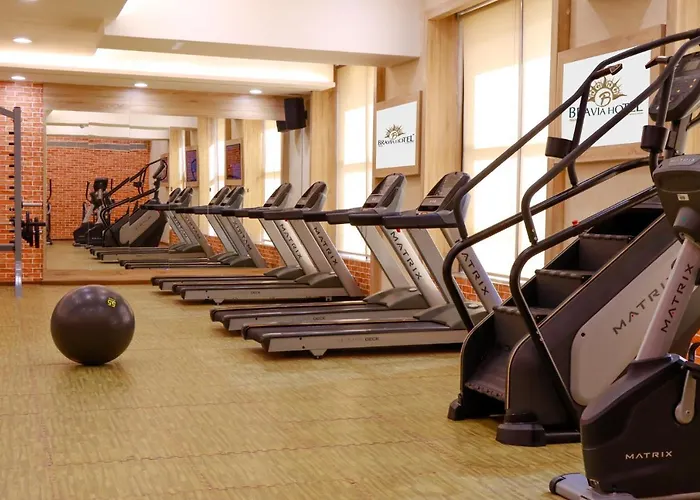 Bravia Hotel Niamey