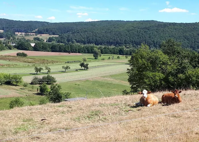 Hotel - Gasthof Spessarttor & Hotel Bergwiesen -Hier Auf Wunsch Zimmer Mit Balkon