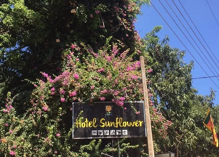 Hotel Sunflower