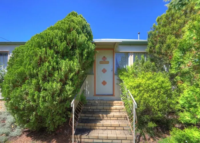 The Vines Motel & Cottages