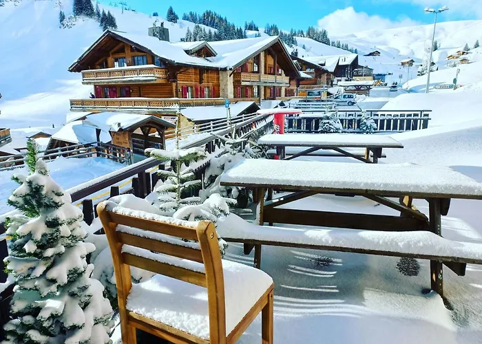Freeride Hostel Restaurant & Camps