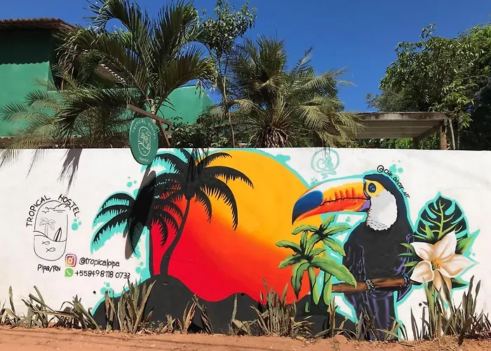 Tropical Hostel