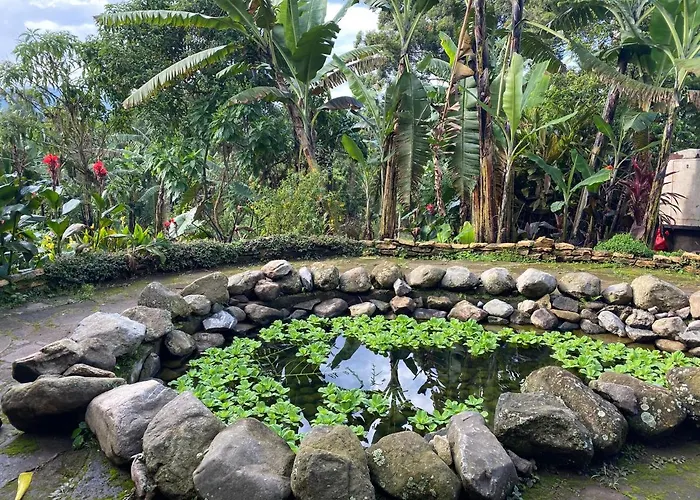 Koi Koi, Fort Portal