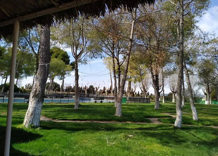 Area De Servicio El Cruce