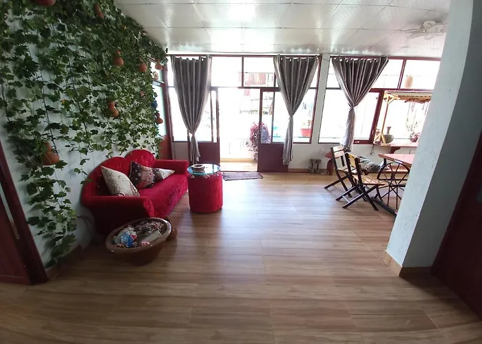 Homestay Holo