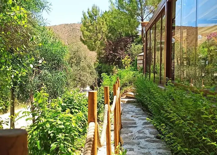 Swiss Eviniz Hotel - Adult Hotel