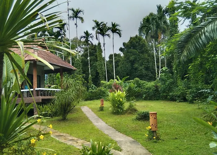 Khao Sok River & Jungle Resort