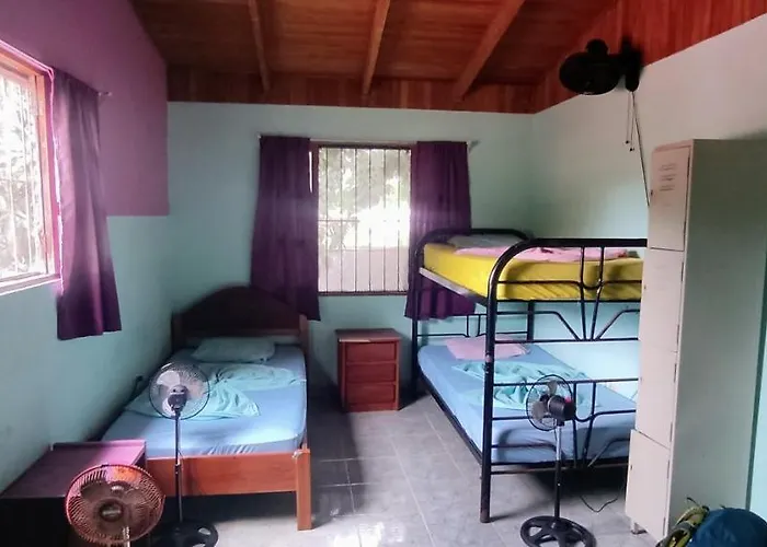 Hostel Matilori