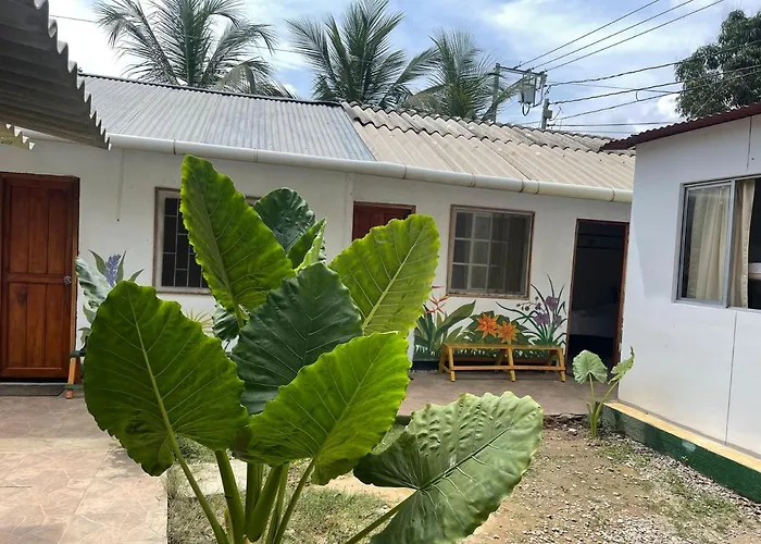 Palomino Hostel