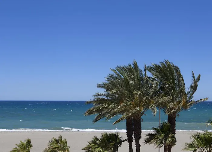 Playavera