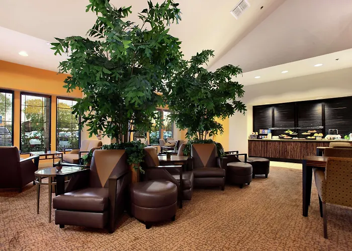 Hilton Stockton