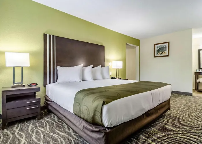 Quality Inn & Suites Creedmoor - Butner