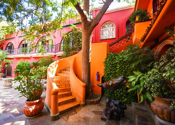 Collection O Casa Bella Hotel Boutique, Cabo San Lucas