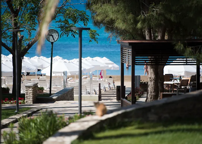 Arum Barut Collection