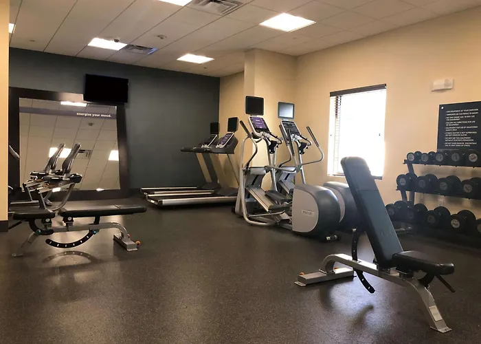 Hampton Inn & Suites Tampa Northwest/Oldsmar