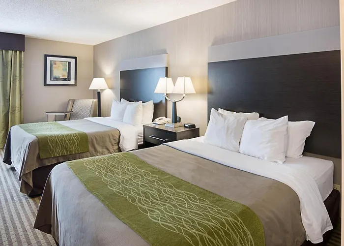 Comfort Inn Camden