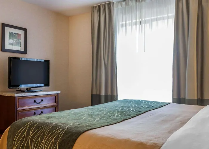 Comfort Inn & Suites South Burlington Near University
