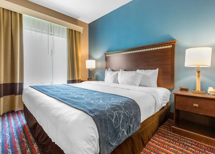 Comfort Suites Fairview Heights Saint Louis