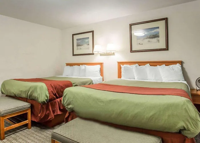 Rodeway Inn Newport