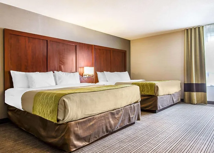 Comfort Inn & Suites