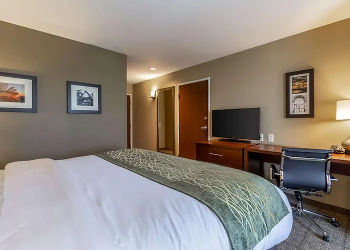 Comfort Inn & Suites - Harrisburg Airport - Hershey South