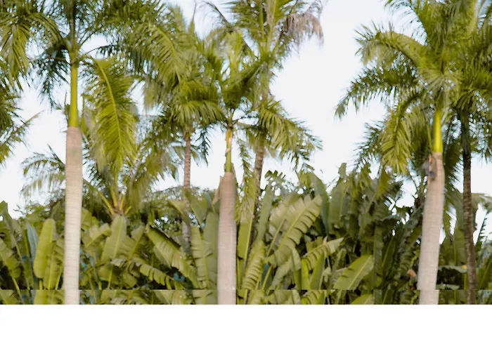Pullman Resort Xishuangbanna