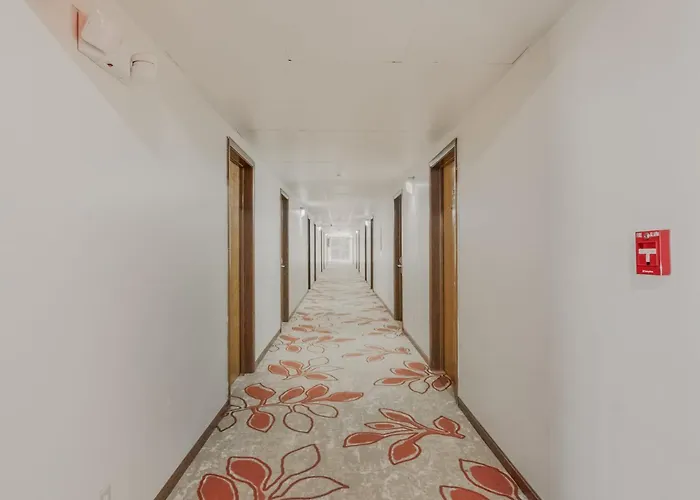 Oyo Hotel Morton East Peoria I-74