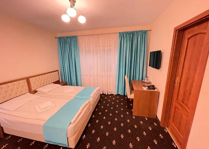 Hostel Paltinis