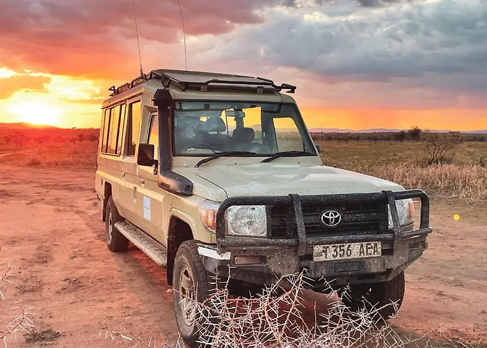 Foresight Eco Lodge & Safari